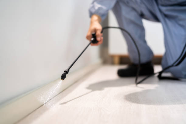 Licensed Termite Control service in Milton, DE - Nex Pest Control