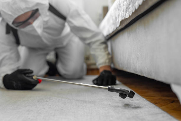 Professional Termite Control technician working in Milton, DE