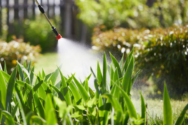 24/7 Emergency Termite Control experts in Milton, DE