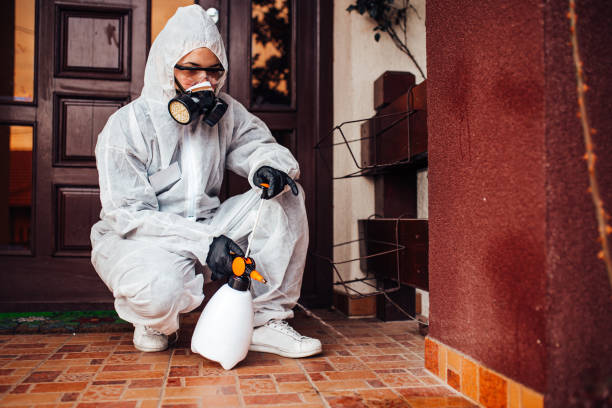 Reliable Termite Control contractor in Milton, DE by Nex Pest Control